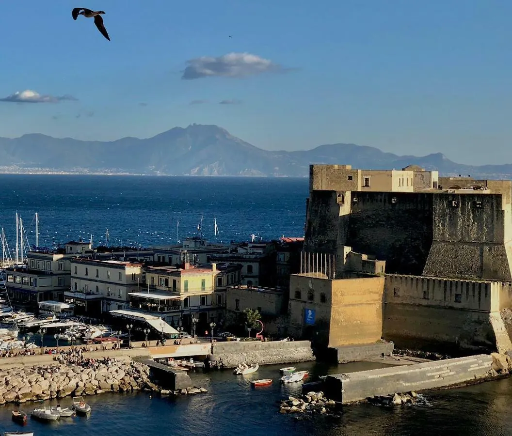 Rooftop In Front Of The Castle Napoli